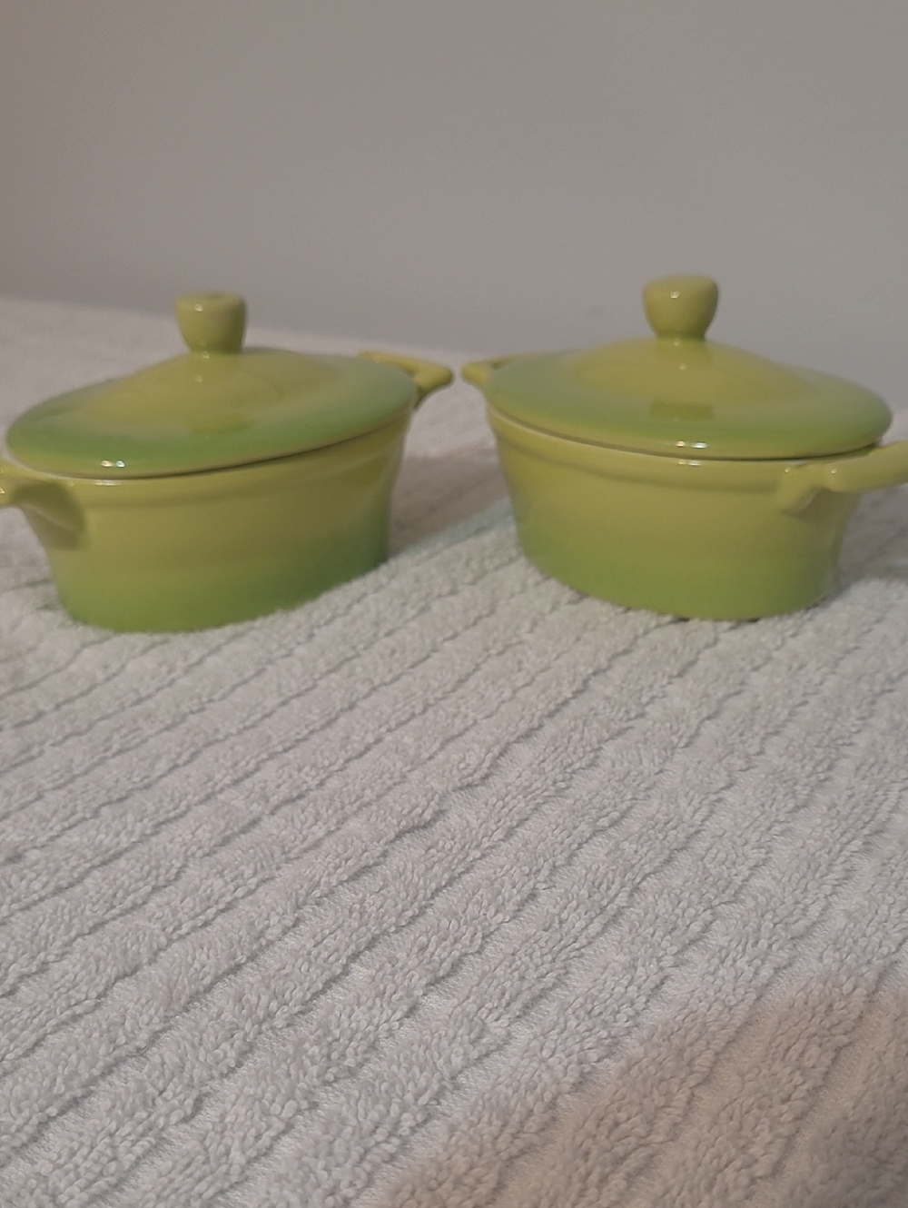 Set of 2 Mini Casserole Dishes w/ Lids Green Insea France 4"